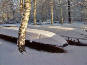 Hafenwinter
